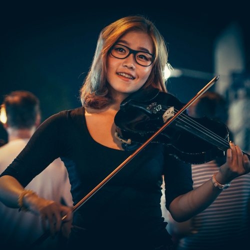 demo-attachment-294-beautiful-blur-bowed-instrument-71436